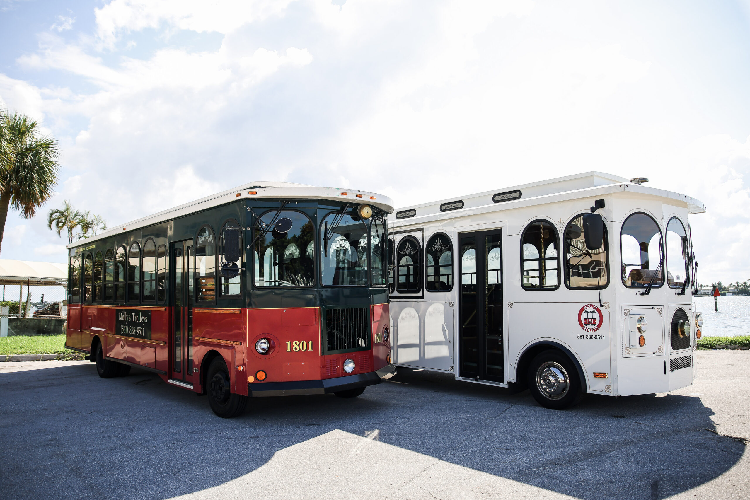 Special and Traditional trolley